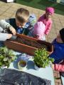 poznajmy rodzaje ziół Projekt edukacyjny.jpg